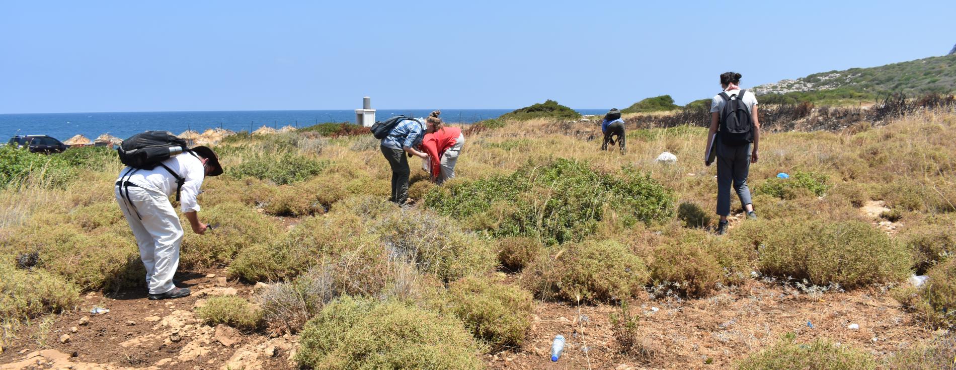 phd archaeology distance learning